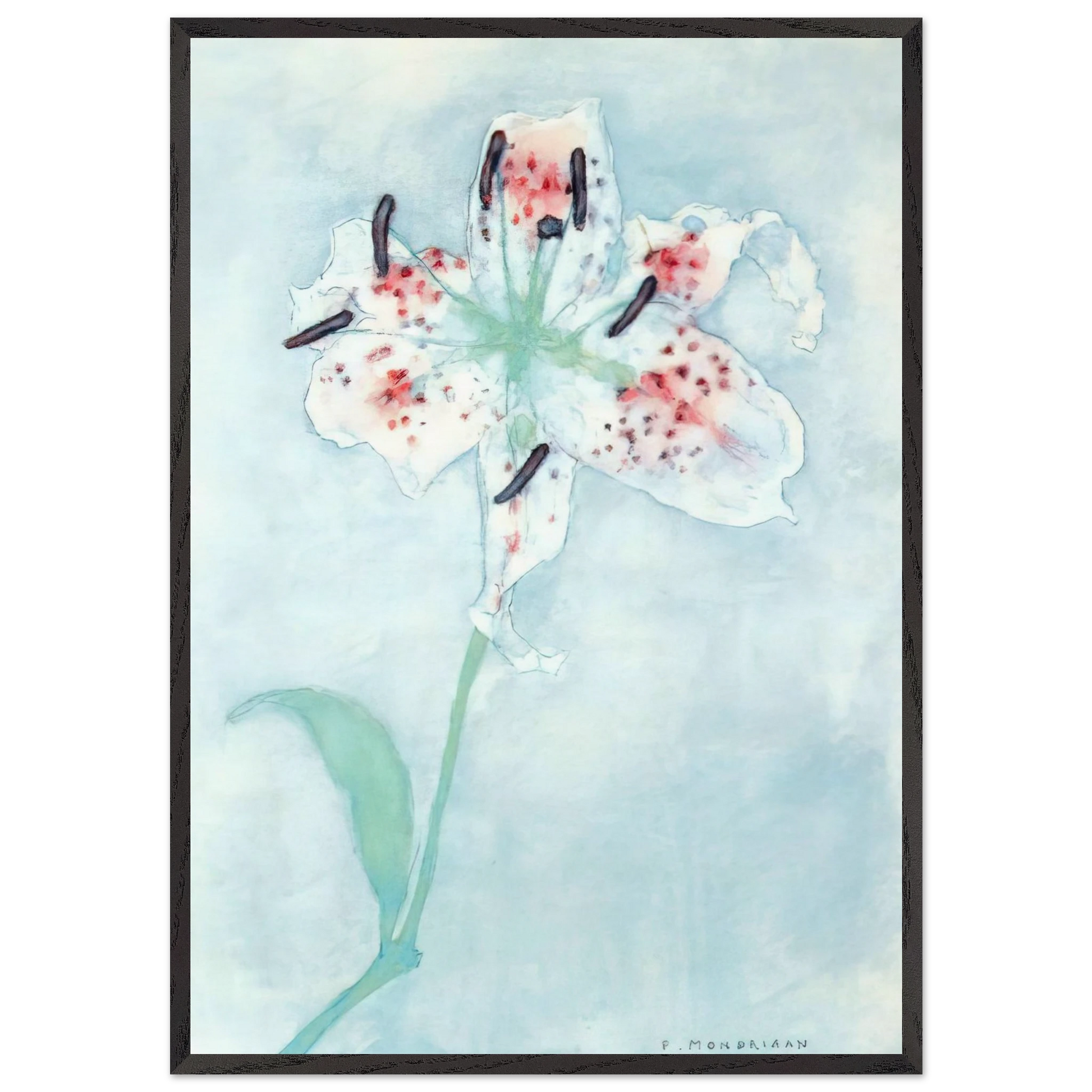 Lily - Piet Mondrian Framed Art Print – Black Wooden Frame - Default Title - -Framed Art Print