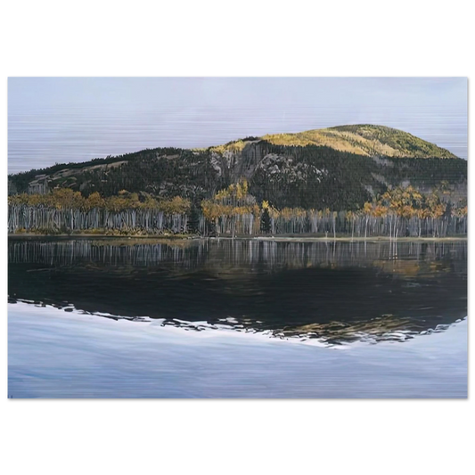 BEAVER DAM POND ACADIA NATIONAL PARK 2009 - Richard Estes Brushed Aluminum Print - 70x100 cm / 28x40 inches | Richard Estes Aluminum Print | Richard Estes Prints