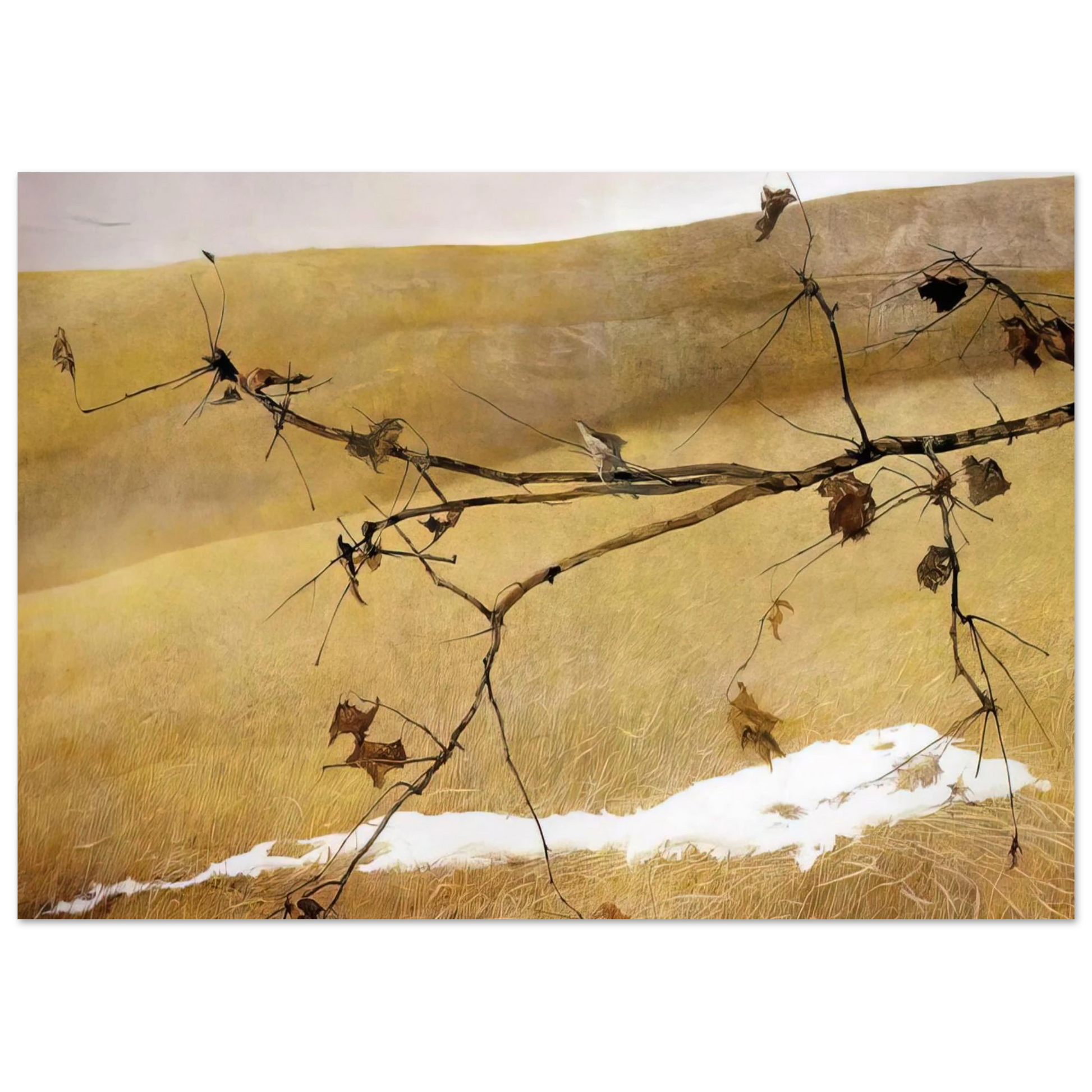 Andrew Wyeth - LONG LIMB Wall Art - 60x80 cm / 24x32 inches - Premium Wooden Framed Poster With Fine Art Paper - Black frame