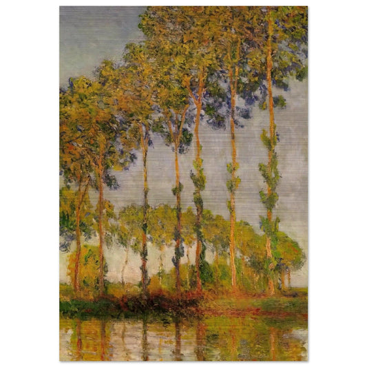 b85c6d80-104d-4929-b27c-9d6e2fca9804