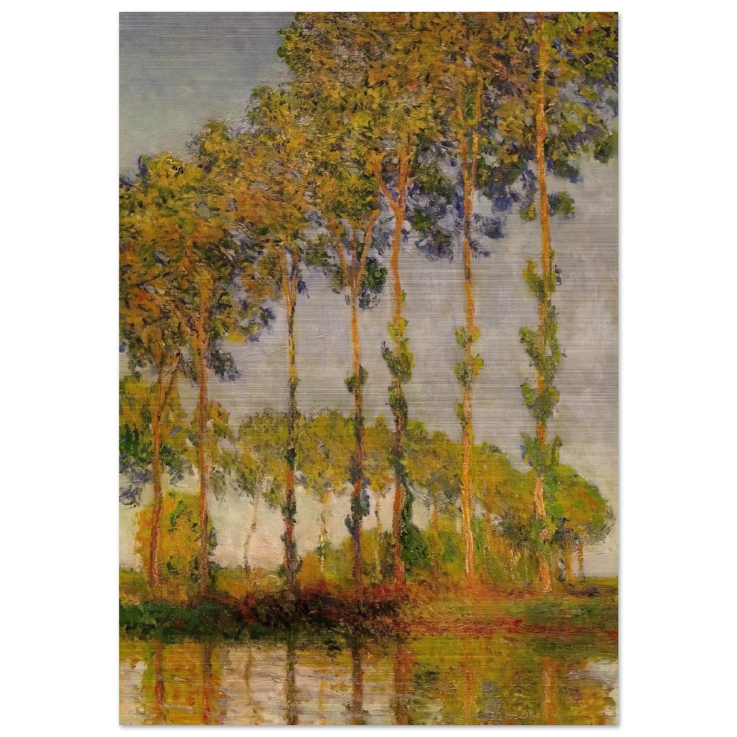 b85c6d80-104d-4929-b27c-9d6e2fca9804