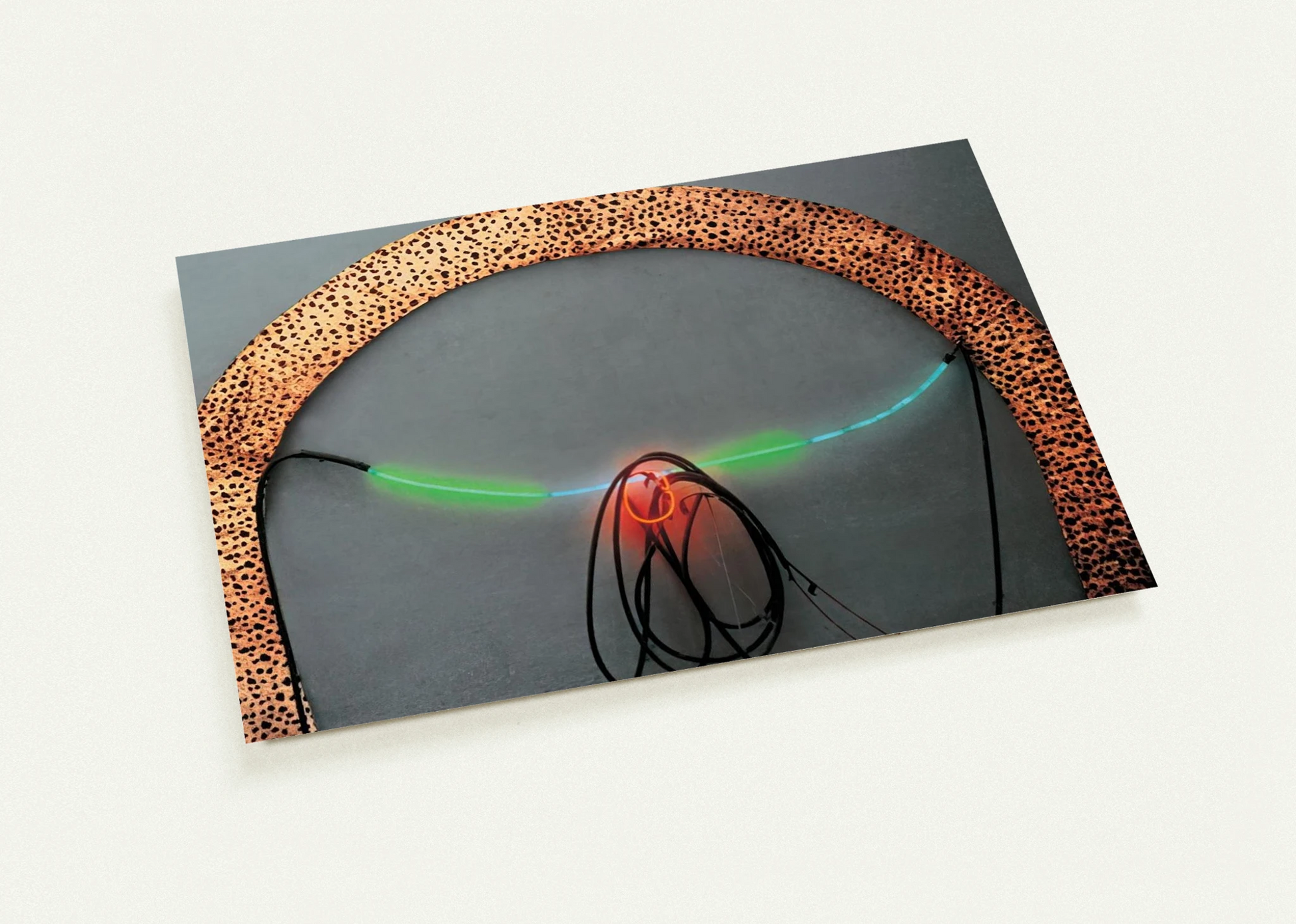 b8f702c1-1886-4764-a629-801e906a03bf