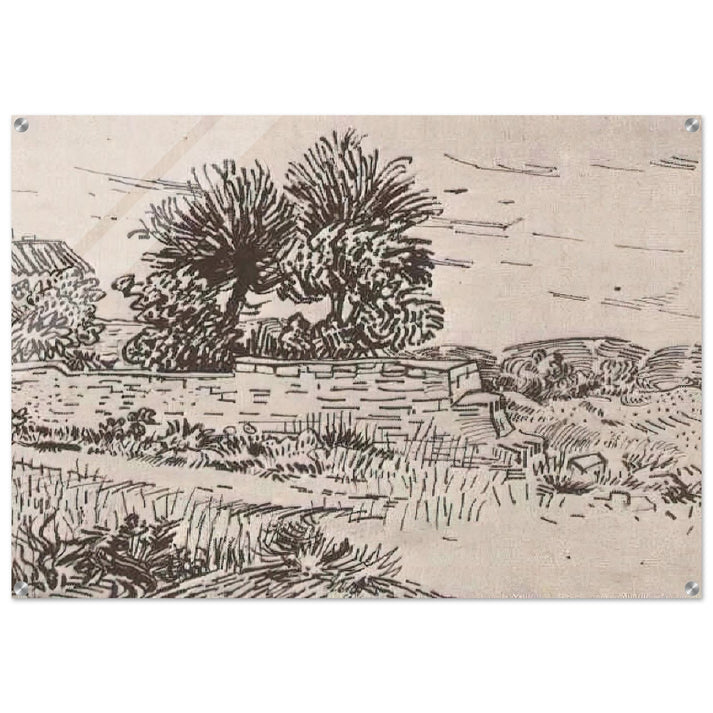 Landscape with the Wall of a Farm - Vincent van Gogh Acrylic Print - 70x100 cm / 28x40″ inches