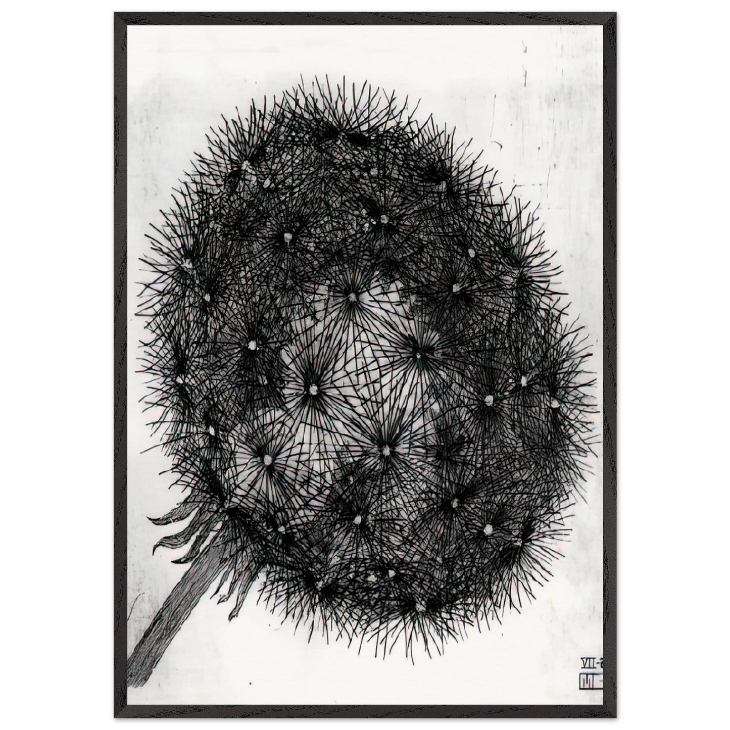 BLOWBALL I - MC Escher Framed Art Print – Black Wooden Frame - Default Title - -Framed Art Print