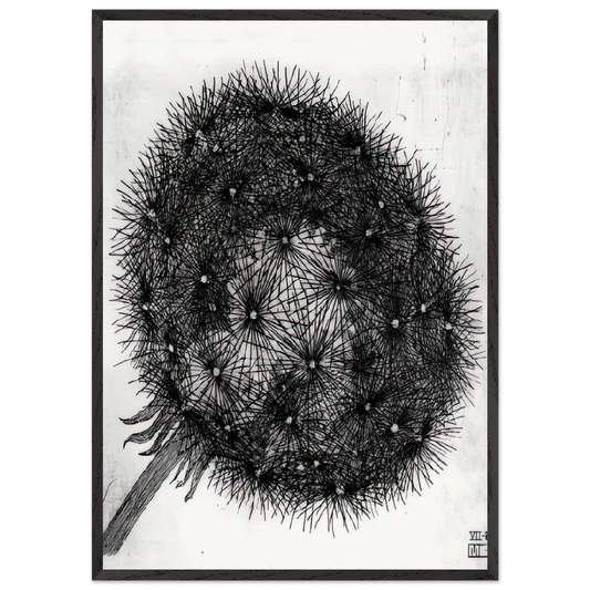 BLOWBALL I - MC Escher Framed Art Print – Black Wooden Frame - Default Title - -Framed Art Print