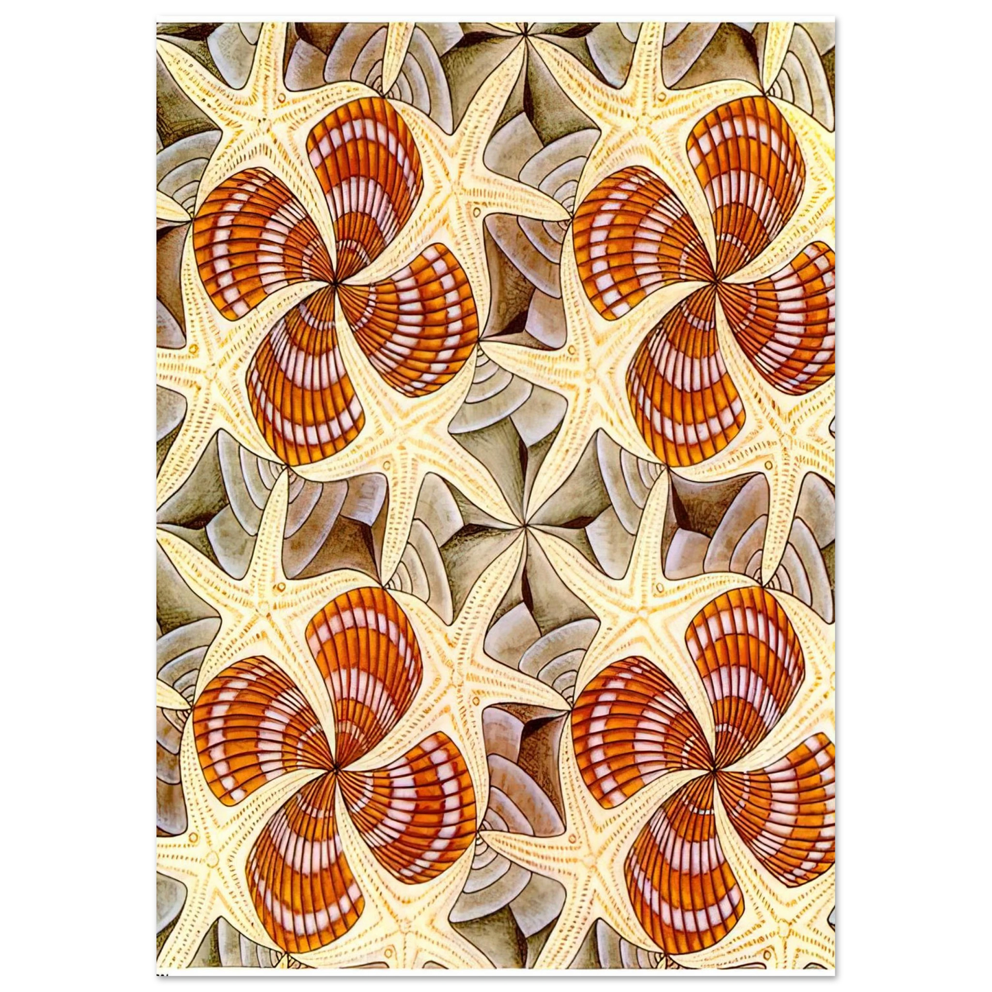 MC Escher - SHELLS AND STARFISH Wall Art - 30x40 cm / 12x16 inches - Premium Wooden Framed Poster With Fine Art Paper - White frame