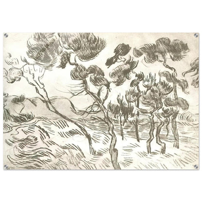 A Group of Pine Trees near a House - Vincent van Gogh Acrylic Print - 70x100 cm / 28x40″ inches