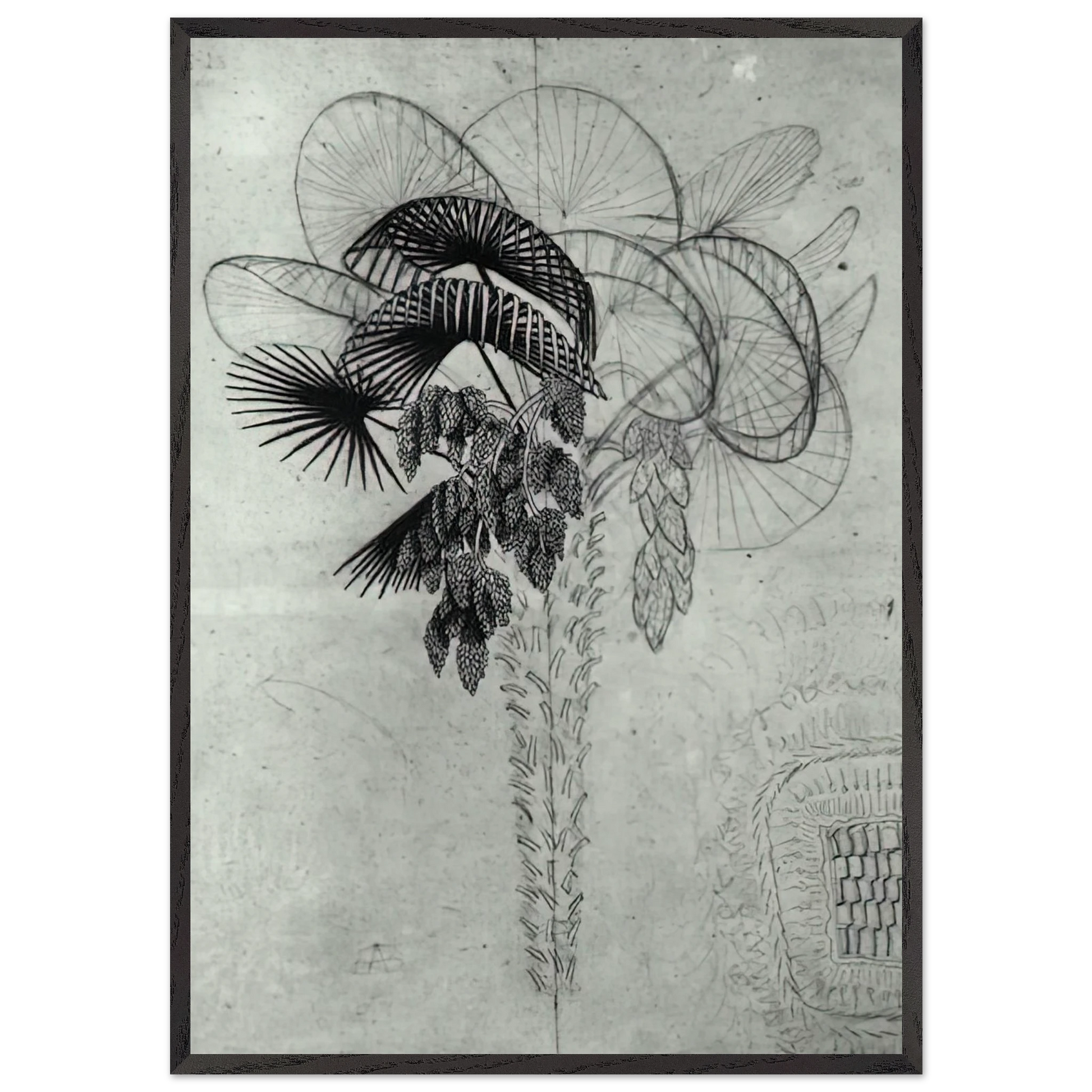 PALM TREE SKETCH - MC Escher Framed Art Print – Black Wooden Frame - Default Title - -Framed Art Print