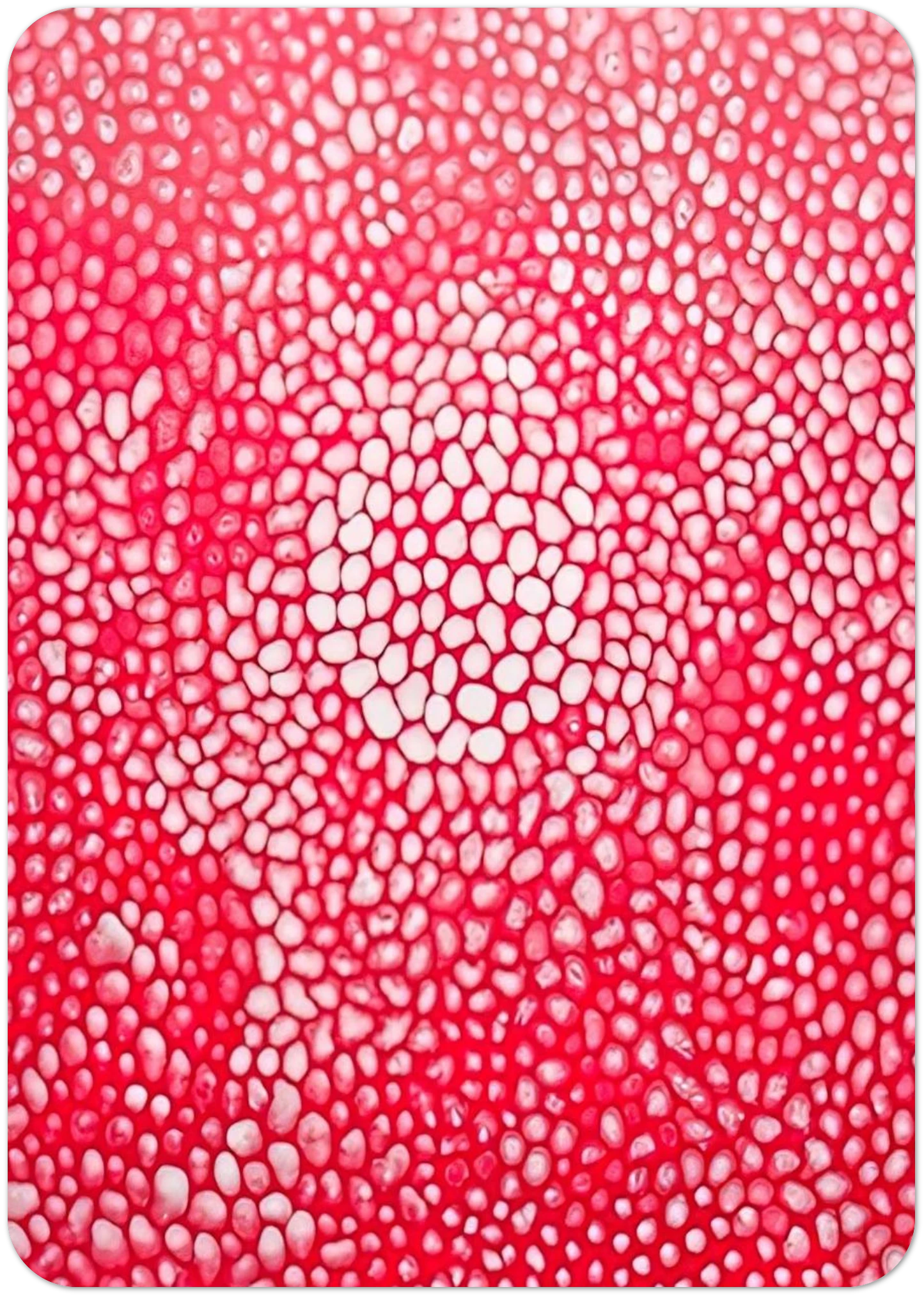 ba307e71-3ea2-4fa7-b6c5-68fd25b53338