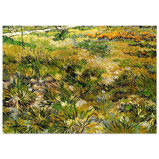 Meadow in the Garden of Saint-Paul Hospital - Vincent van Gogh Brushed Aluminum Print - 70x100 cm / 28x40 inches | Vincent van Gogh Aluminum Print | Vincent van Gogh Prints