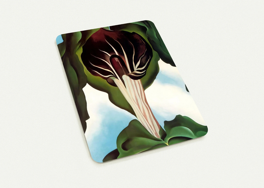 Jack-in-the-Pulpit III By Georgia O'Keeffe Pack of 10 Post Cards | Georgia O'Keeffe Post Cards | A6 (10.5 x 14.8 cm) - 4.1 x 5.8 inches