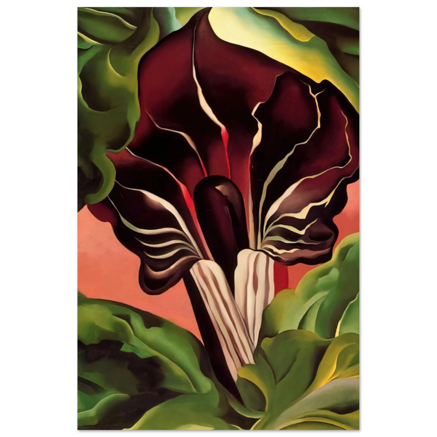 Georgia O'Keeffe - Jack-in-the-Pulpit II Fine Art Poster - 75x100 cm / 30x40 inches
