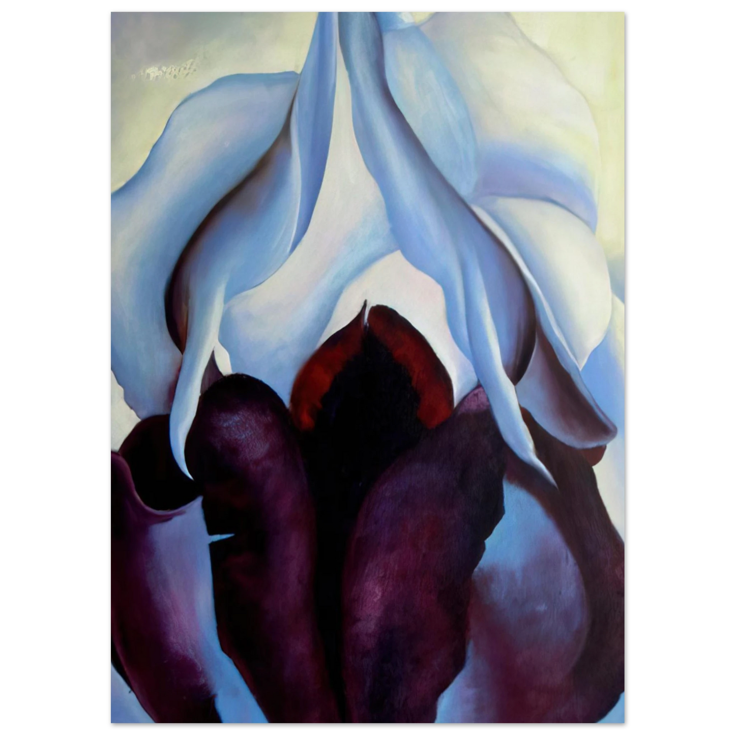 Georgia O'Keeffe - Flower of Life Fine Art Poster - 40x60 cm / 16x24 inches