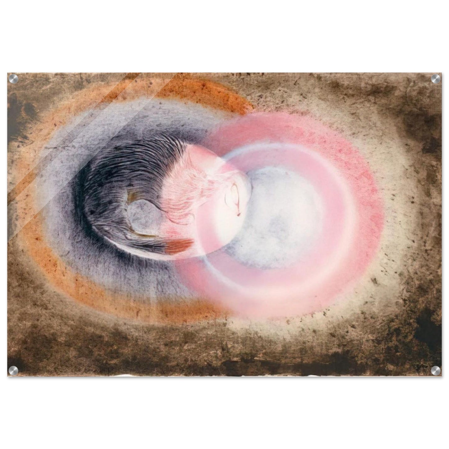 Hibernation - 1954 - Morris Graves Acrylic Print - 70x100 cm / 28x40″ inches | Morris Graves Wall Art | Morris Graves Prints