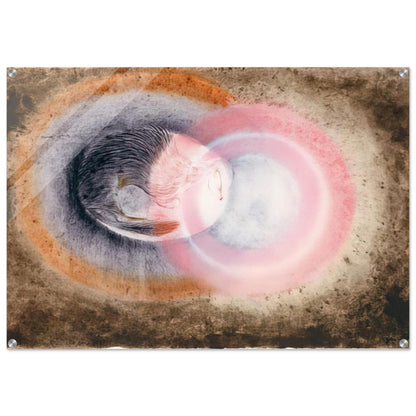 Hibernation - 1954 - Morris Graves Acrylic Print - 70x100 cm / 28x40″ inches | Morris Graves Wall Art | Morris Graves Prints