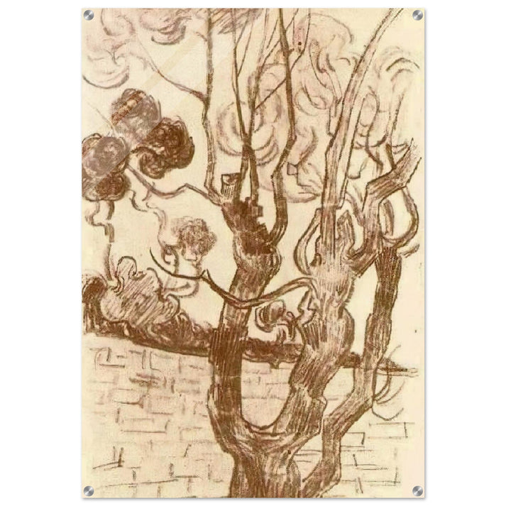 Treetop Seen against the Wall of the Asylum - Vincent van Gogh Acrylic Print - 70x100 cm / 28x40″ inches