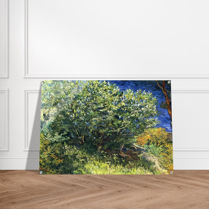 Lilac Bush - Vincent van Gogh Acrylic Print - 70x100 cm / 28x40″ inches