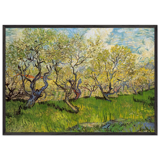 Orchard in Blossom - Vincent van Gogh 70x100 cm / 28x40 inches Framed Art Print – Black Wooden Frame