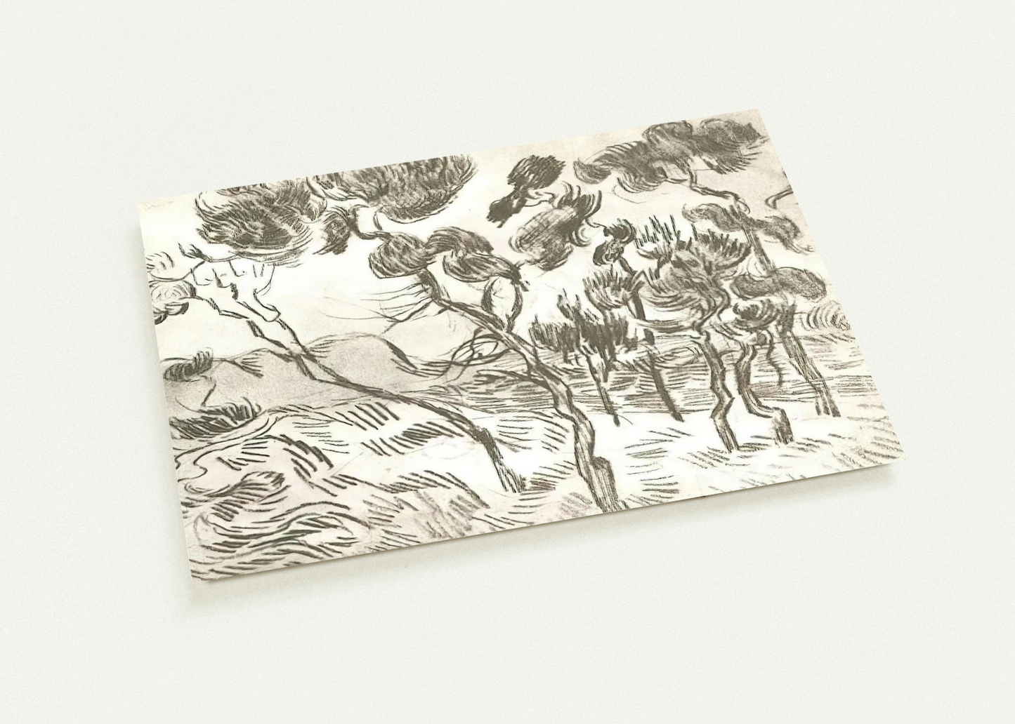 A Group of Pine Trees near a House By Vincent van Gogh Pack of 10 Post Cards | Vincent van Gogh Post Cards | A6 (10.5 x 14.8 cm) - 4.1 x 5.8 inches