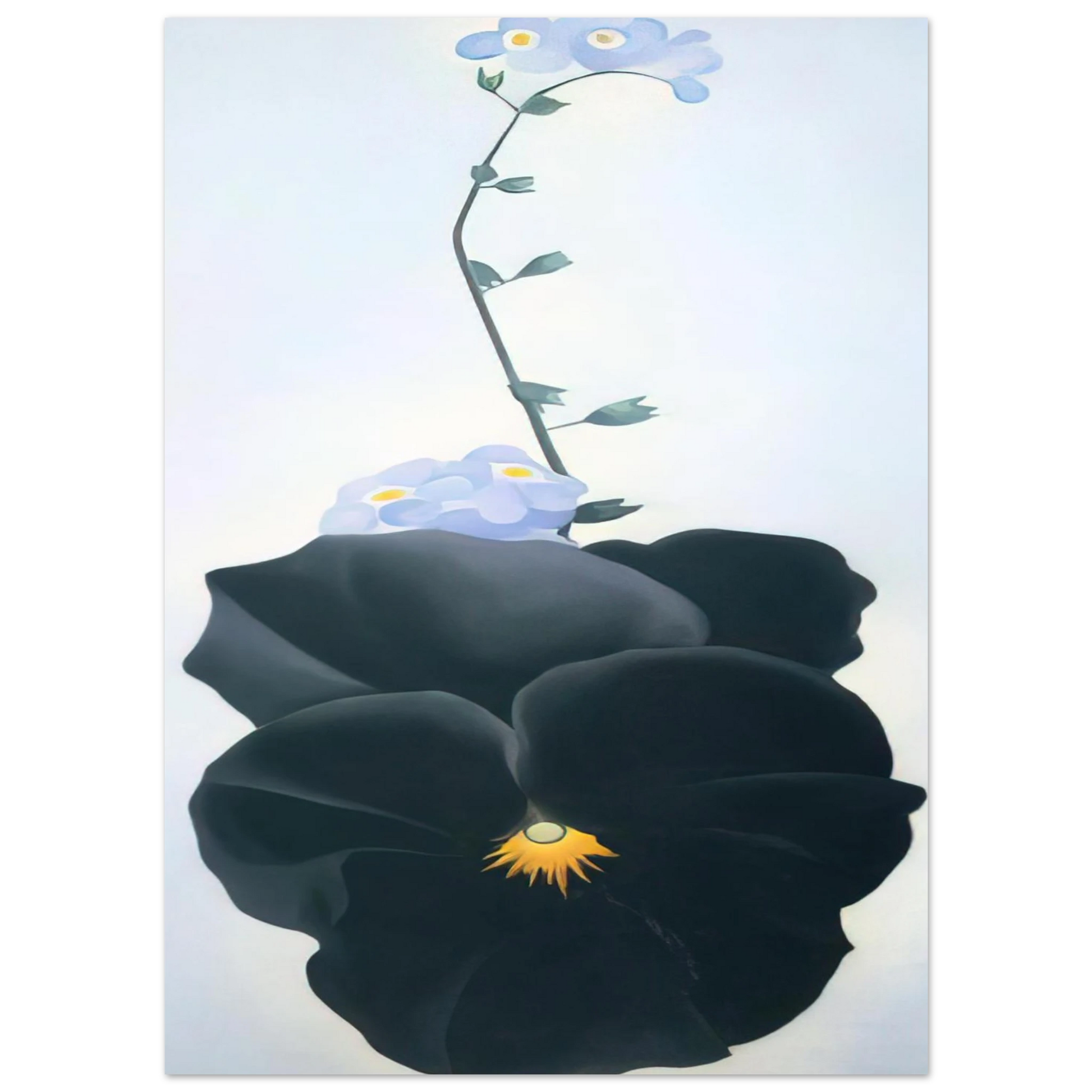 Georgia O'Keeffe - Pansy Fine Art Poster - 75x100 cm / 30x40 inches