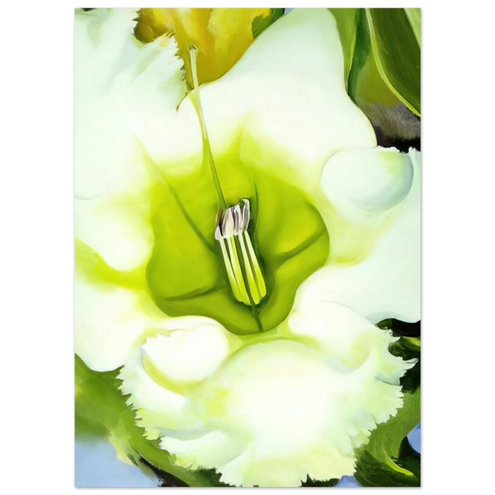 Georgia O'Keeffe - Cup Of Silver Ginger Fine Art Poster