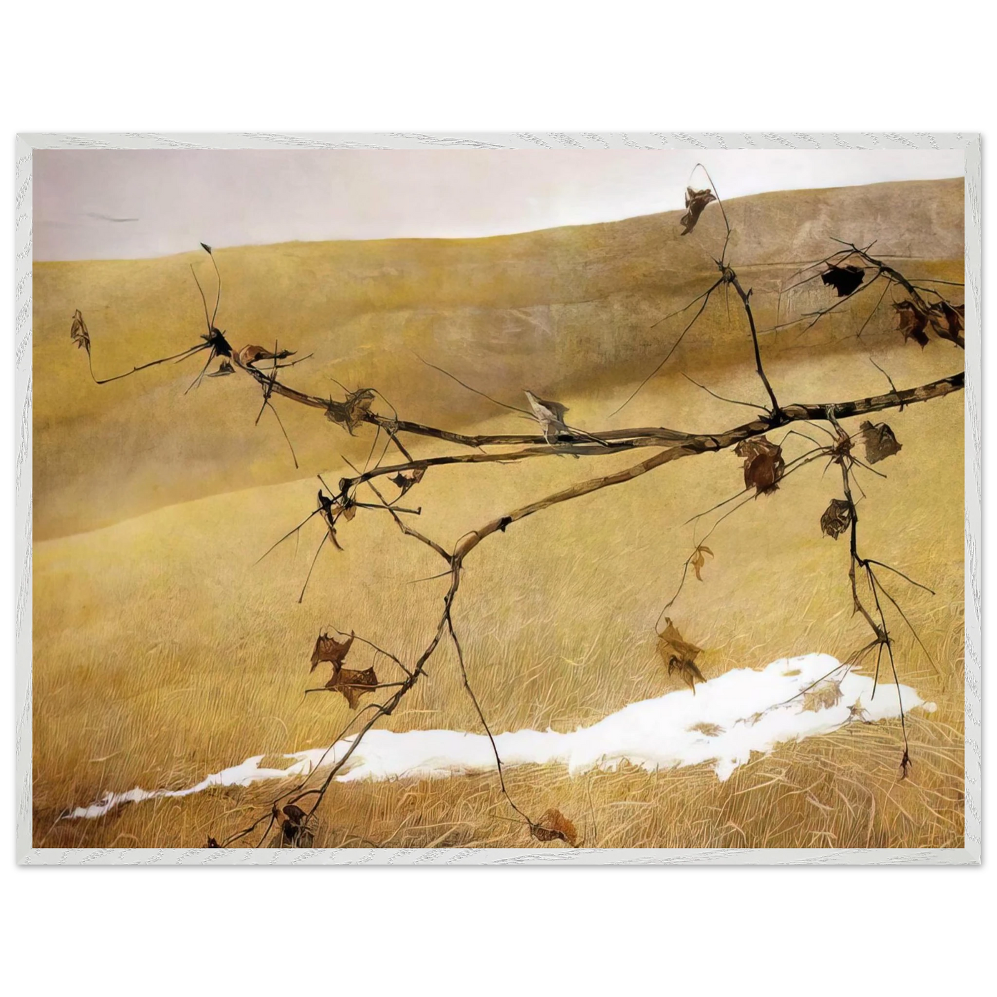 Andrew Wyeth - LONG LIMB Wall Art - 30x40 cm / 12x16 inches - Premium Wooden Framed Poster With Fine Art Paper - Black frame