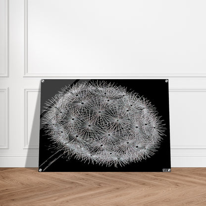 bdeb8a51-2386-4c59-96fc-de7d5ba083ba