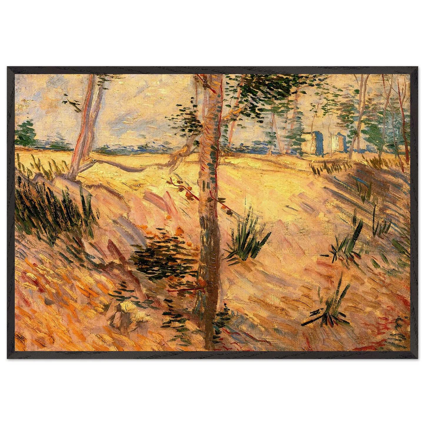 Trees in a Field on a Sunny Day - Vincent van Gogh Framed Art Print – Black Wooden Frame - Default Title - -Framed Art Print