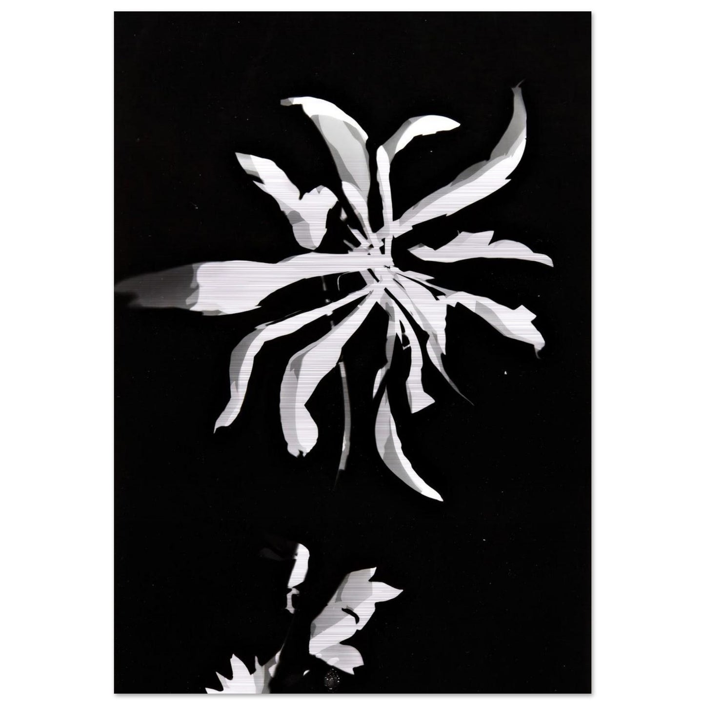 Changing patterns - Laszlo Moholy-Nagy Brushed Aluminum Print - 70x100 cm / 28x40 inches | Laszlo Moholy-Nagy Aluminum Print | Laszlo Moholy-Nagy Prints