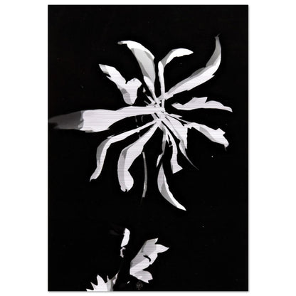 Changing patterns - Laszlo Moholy-Nagy Brushed Aluminum Print - 70x100 cm / 28x40 inches | Laszlo Moholy-Nagy Aluminum Print | Laszlo Moholy-Nagy Prints