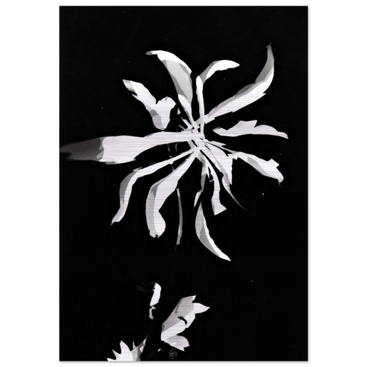 Changing patterns - Laszlo Moholy-Nagy Brushed Aluminum Print - 70x100 cm / 28x40 inches | Laszlo Moholy-Nagy Aluminum Print | Laszlo Moholy-Nagy Prints