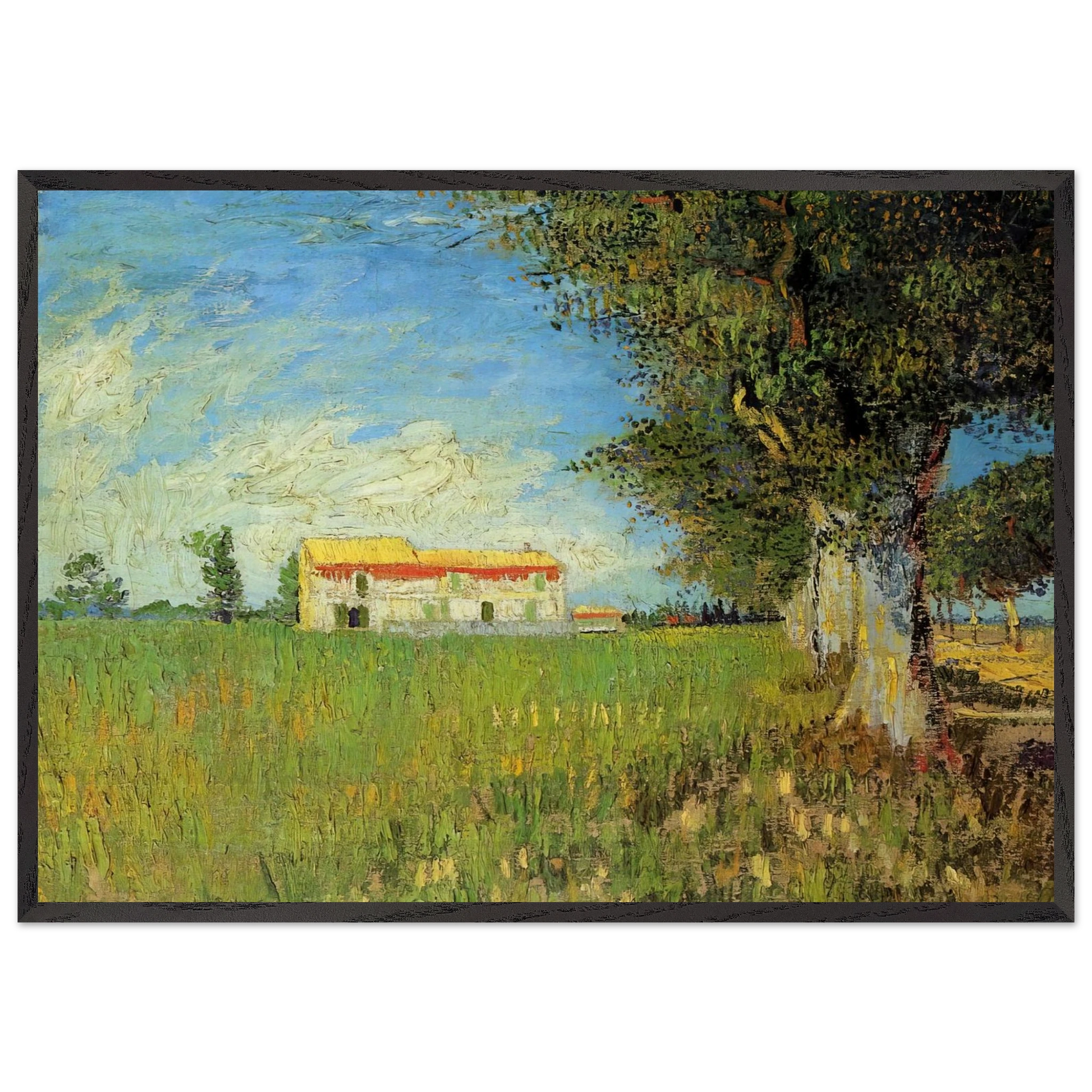 Farmhouse in a Wheat Field - Vincent van Gogh Framed Art Print – Black Wooden Frame - Default Title - -Framed Art Print