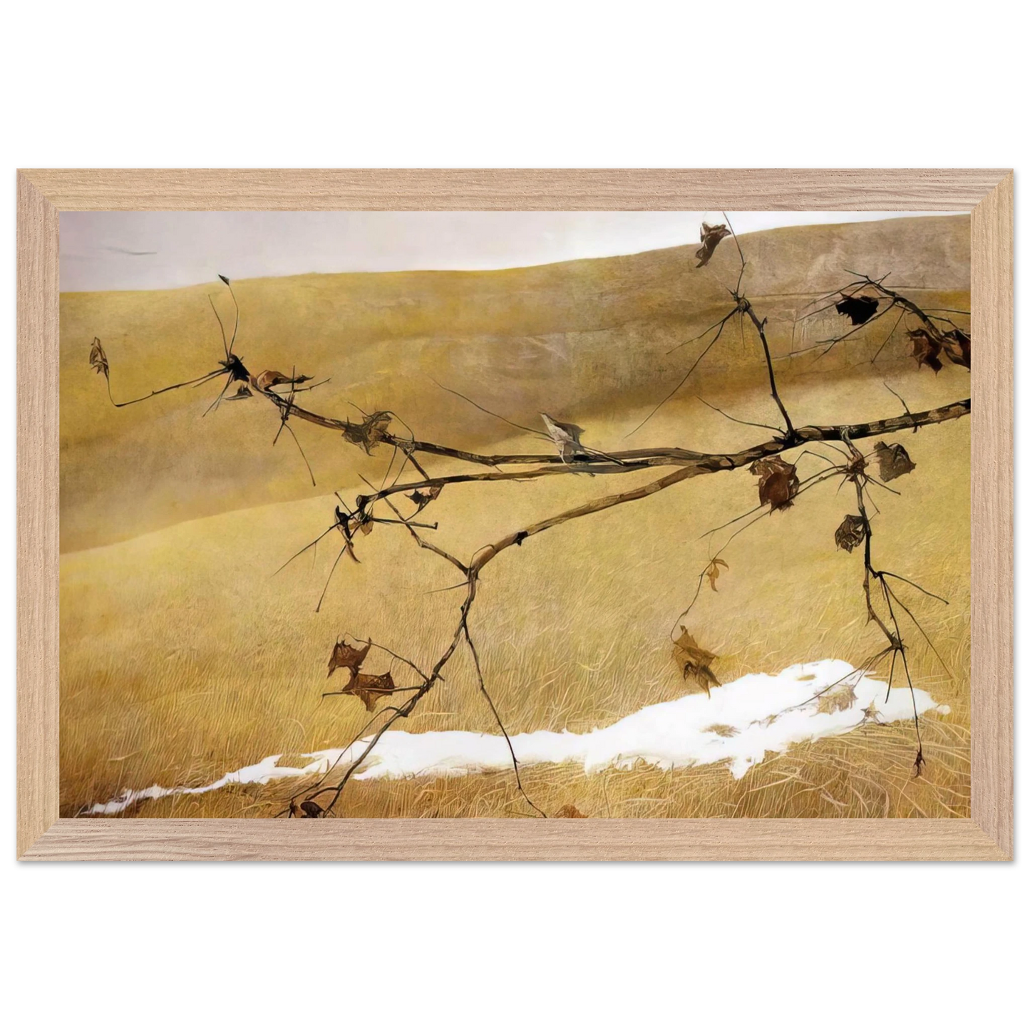 Andrew Wyeth - LONG LIMB Wall Art - 60x80 cm / 24x32 inches - Fine Art Poster - -