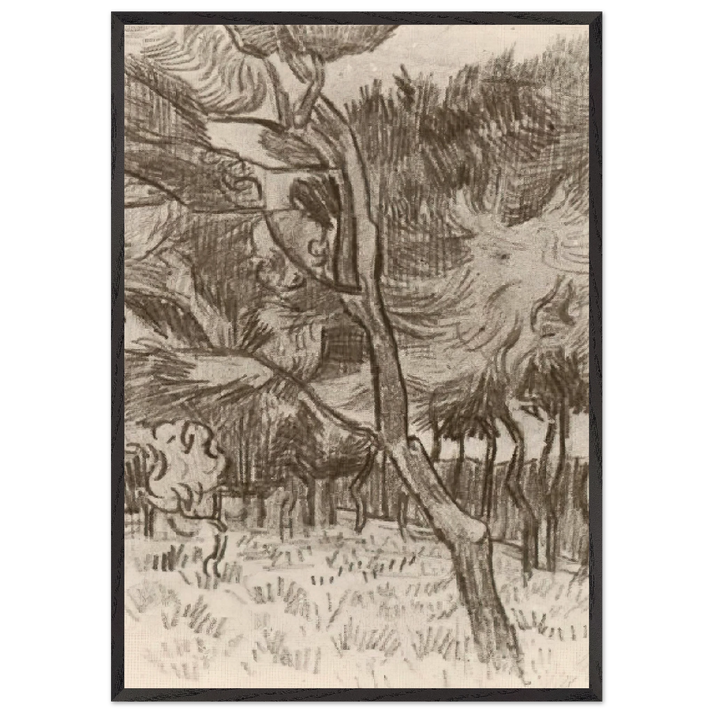 Pine Trees in the Garden of the Asylum - Vincent van Gogh 70x100 cm / 28x40 inches Framed Art Print – Black Wooden Frame