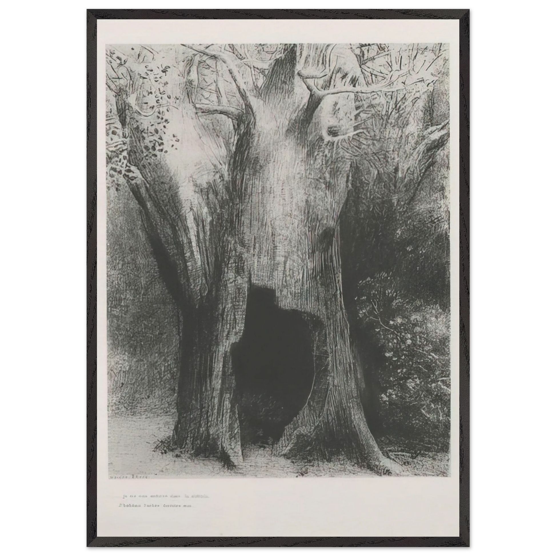 I PLUNGED INTO SOLITUDE I DWELT IN THE TREE BEHIND ME PLATE 9 1896 - Odilon Redon Framed Art Print – Black Wooden Frame - Default Title - -Framed Art Print