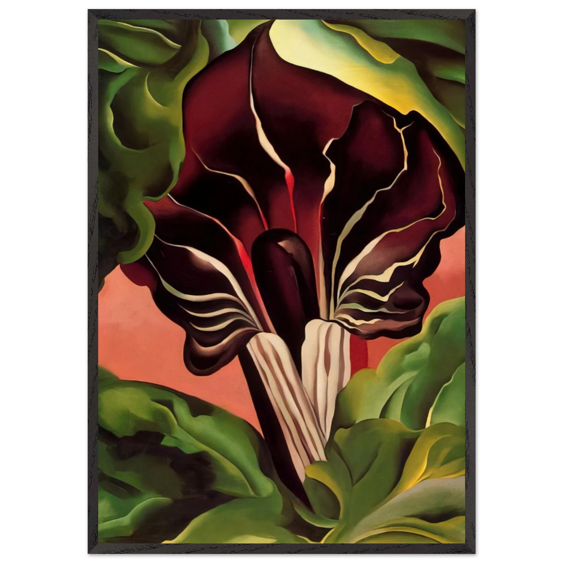 Jack-in-the-Pulpit II - Georgia OKeeffe 70x100 cm / 28x40 inches Framed Art Print – Black Wooden Frame