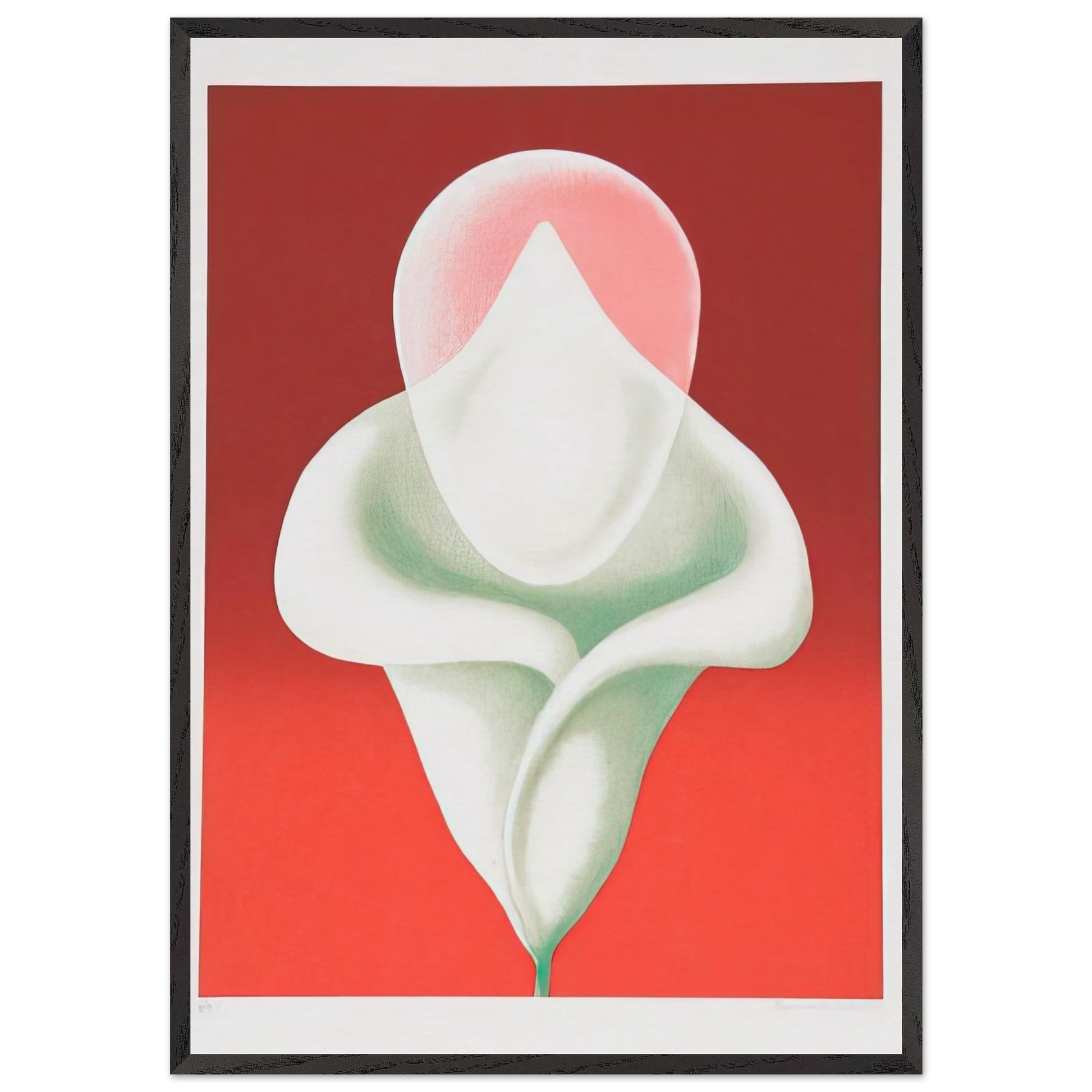 Abstract Tulip - 1979 - Clarence Holbrook Carter Framed Art Print – Black Wooden Frame - Default Title - -Framed Art Print