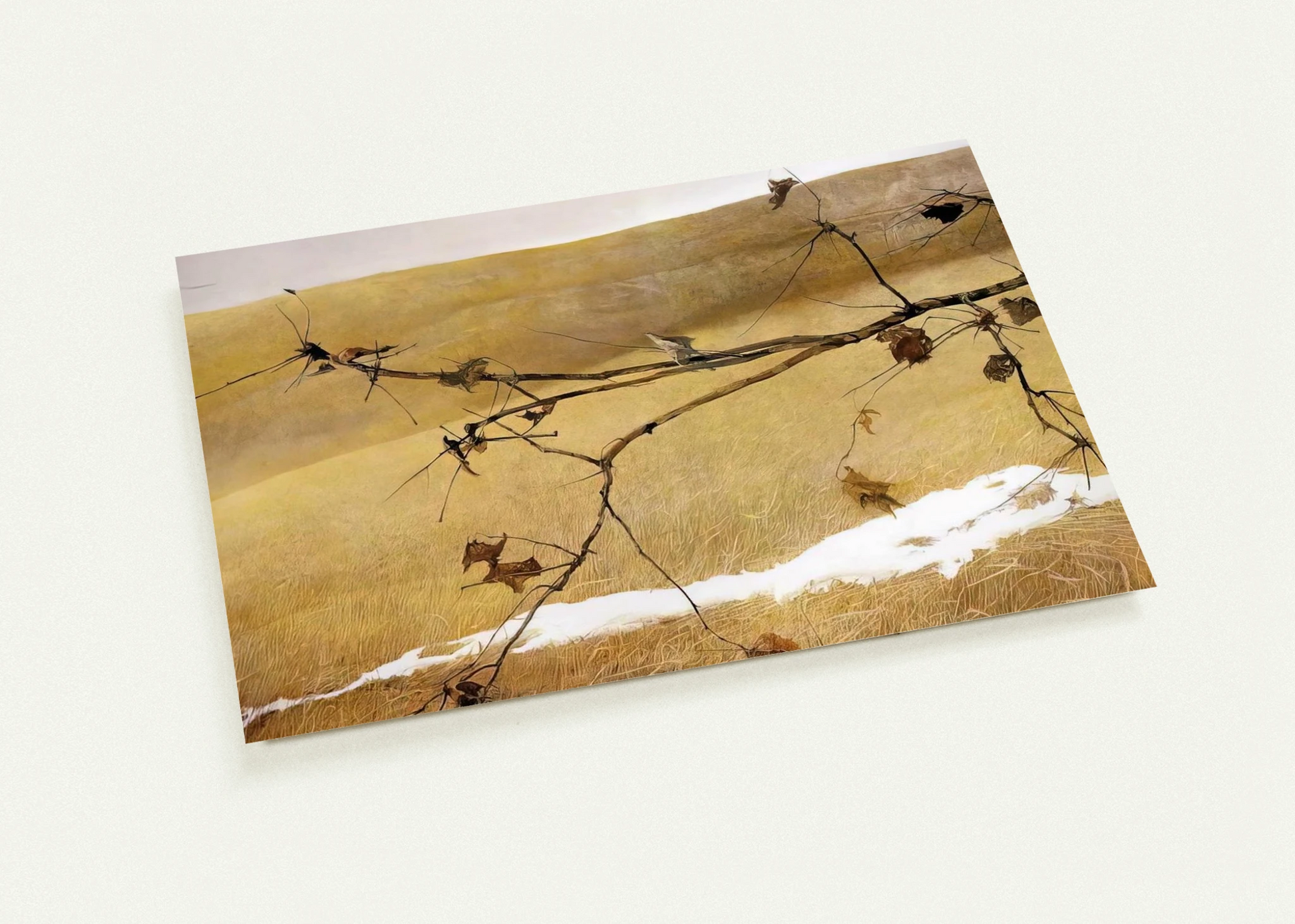 c2c797f5-34b8-4fc6-81aa-2bb982ff9564