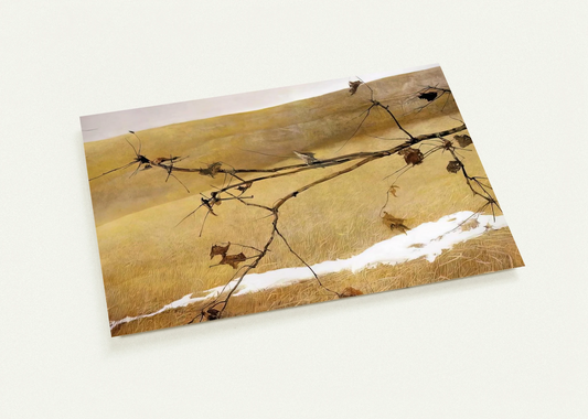 c2c797f5-34b8-4fc6-81aa-2bb982ff9564