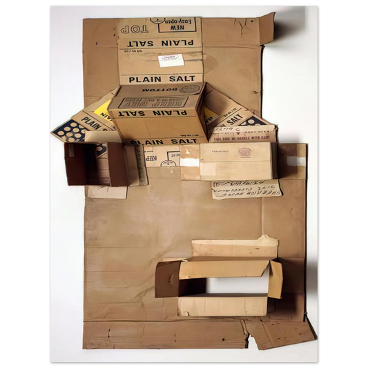 Robert Rauschenberg - PLAIN SALT CARDBOARD 1971 Fine Art Poster - Default Title