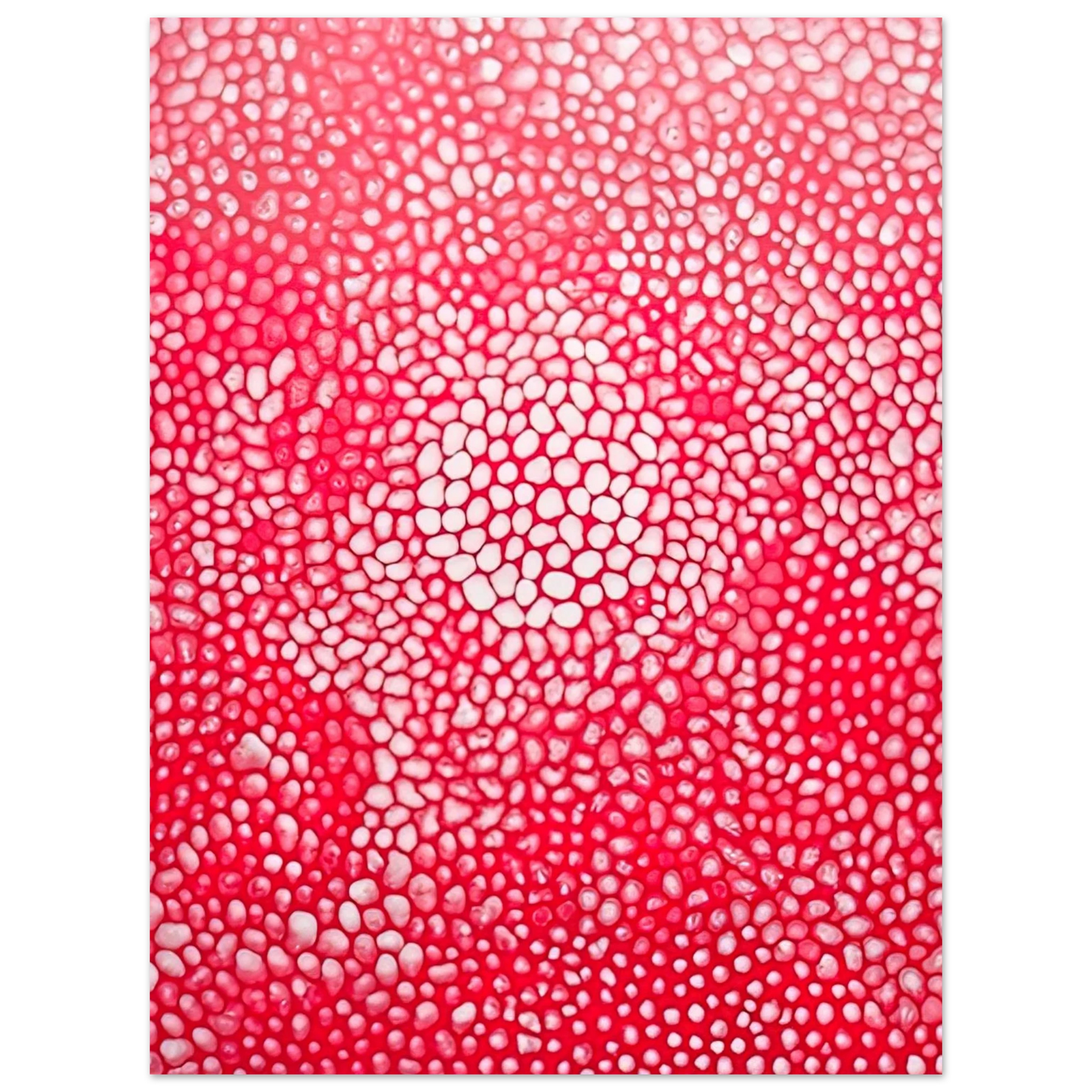 Yayoi Kusama - SUNLIGHT 1998 Fine Art Poster - 13x18 cm / 5x7 inches