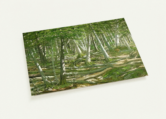 c31f0d56-1c71-4a07-b5ae-ced9e698a256