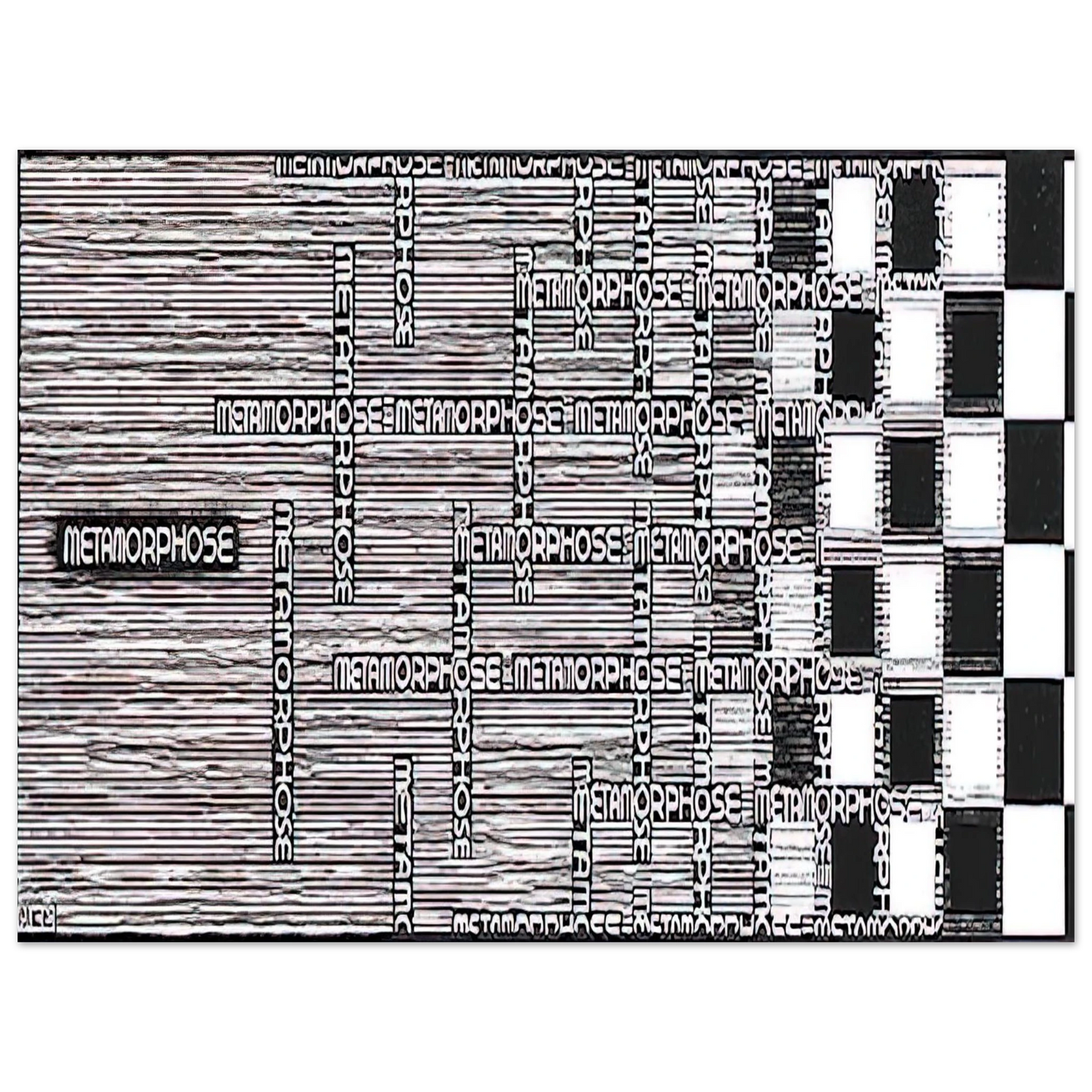 MC Escher - METAMORPHOSIS II EXCERPT 1 Wall Art - 30x40 cm / 12x16 inches - Premium Wooden Framed Poster With Fine Art Paper - White frame