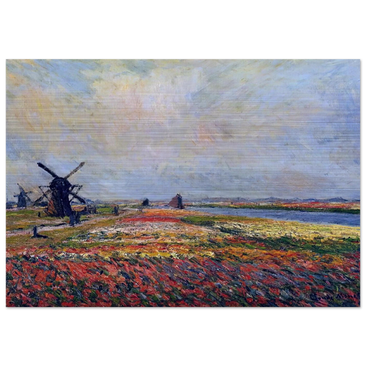 Fields of Flowers and Windmills near Leiden - claude monet Brushed Aluminum Print - 70x100 cm / 28x40 inches | claude monet Aluminum Print | claude monet Prints