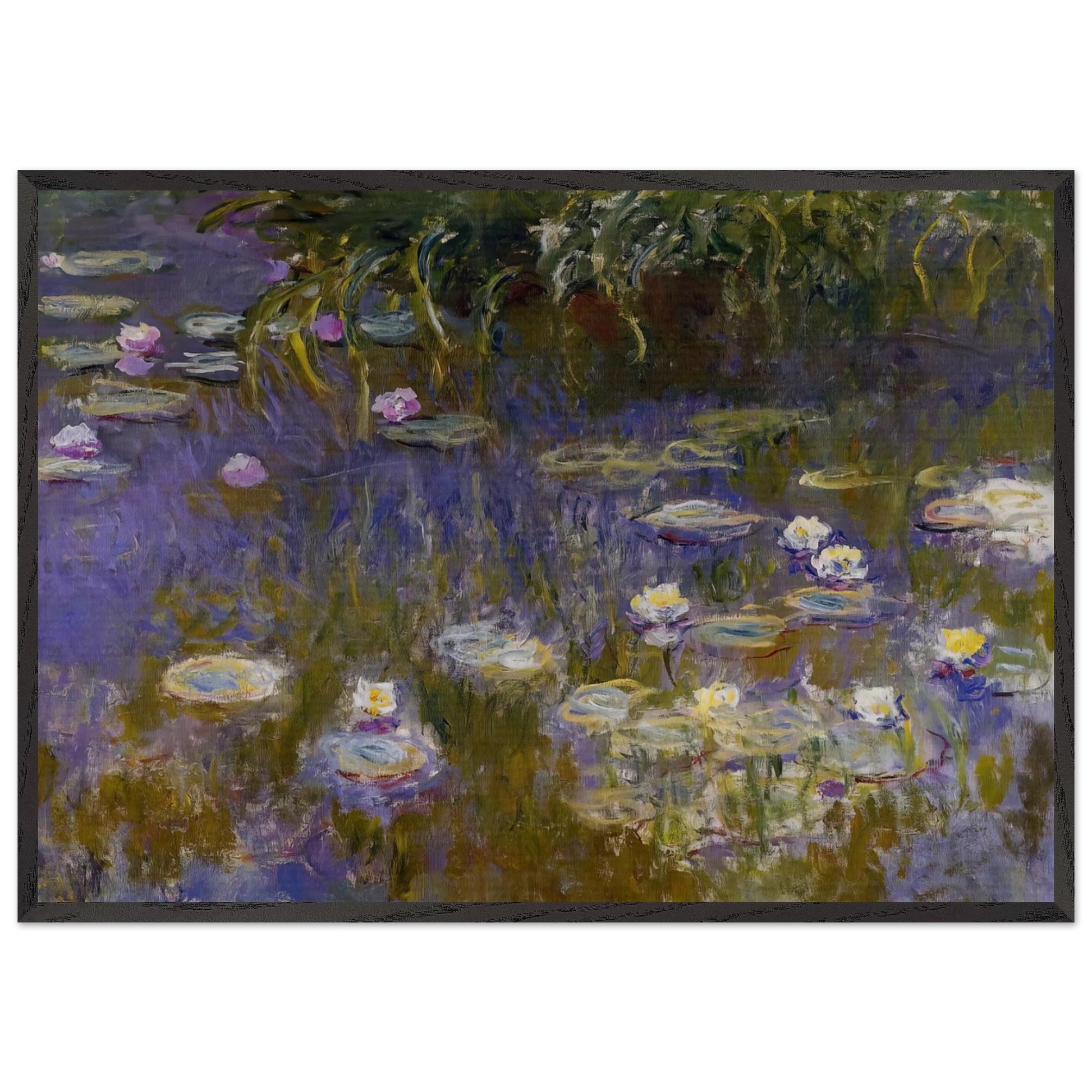 Water Lilies Yellow and Lilac - claude monet Framed Art Print – Black Wooden Frame - Default Title - -Framed Art Print