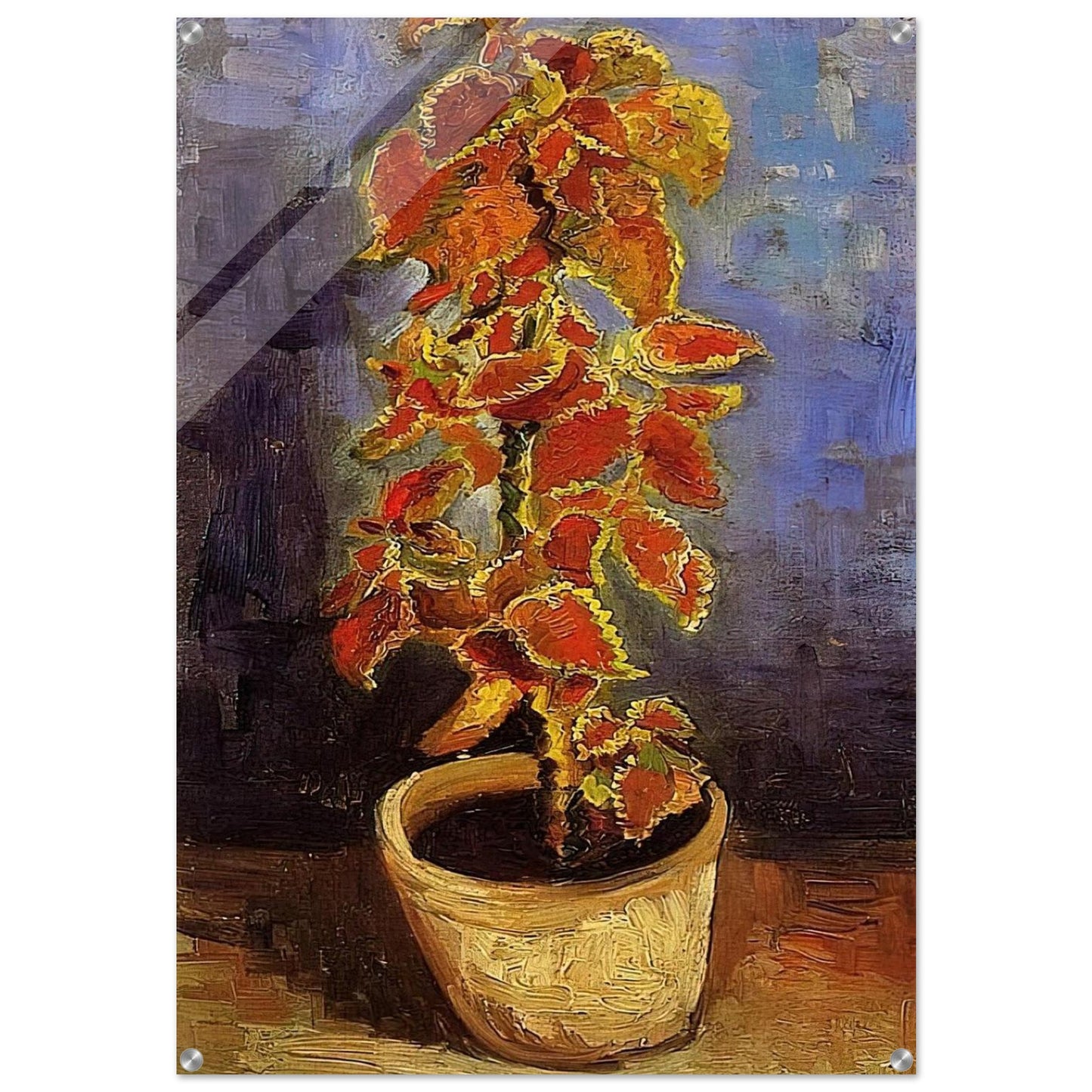 Coleus Plant in a Flowerpot - Vincent van Gogh Acrylic Print - 70x100 cm / 28x40″ inches