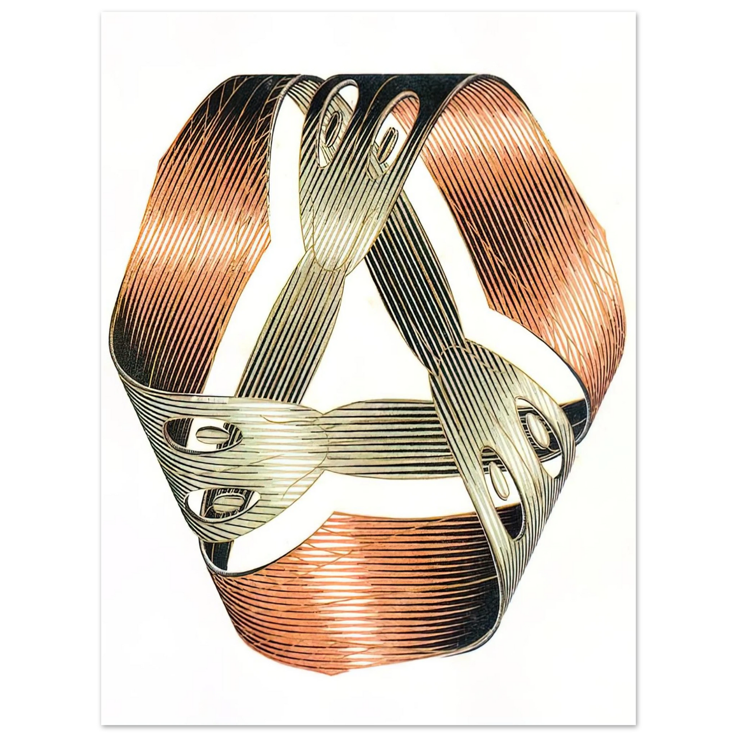 MC Escher - MOEBIUS STRIP I Wall Art - 21x29.7 cm / 8x12" - Fine Art Poster - -