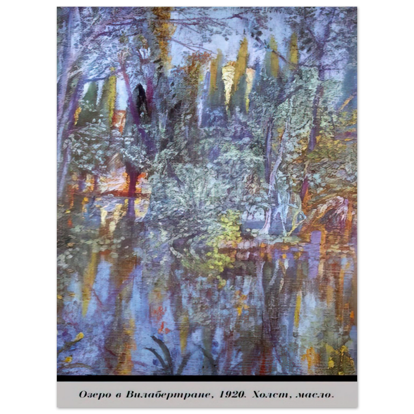 Salvador Dali - THE LAKE AT VILABERTRAN Fine Art Poster - Default Title