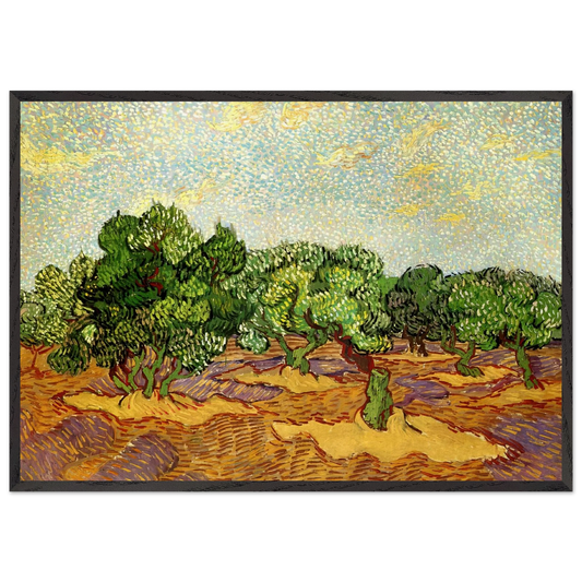 Olive Grove - Pale Blue Sky - Vincent van Gogh 70x100 cm / 28x40 inches Framed Art Print – Black Wooden Frame
