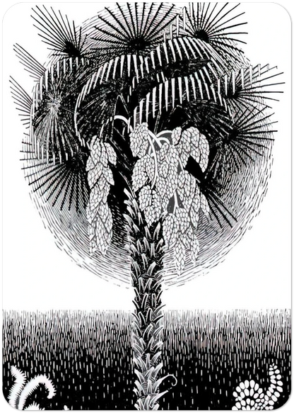 PALM TREE By MC Escher Pack of 10 Post Cards | MC Escher Post Cards | A6 (10.5 x 14.8 cm) - 4.1 x 5.8 inches